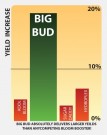 BIG BUD 1L thumbnail