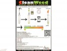 CLEANWEED TEST thumbnail