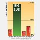 Big Bud 500ml thumbnail
