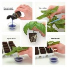 Rooting Hormone Gel thumbnail